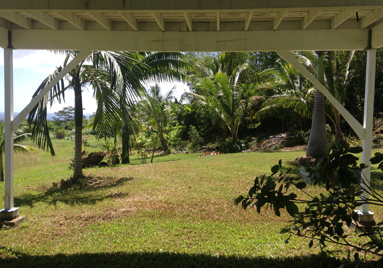 midday beneath the lanai