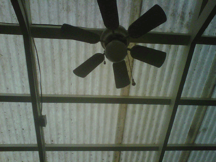 cieling-fan