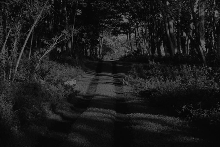 prus-driveway-bw